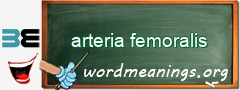 WordMeaning blackboard for arteria femoralis